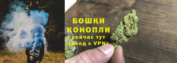 сатива Абаза