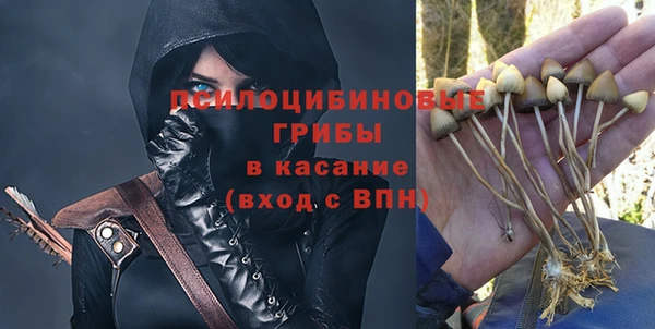 сатива Абаза
